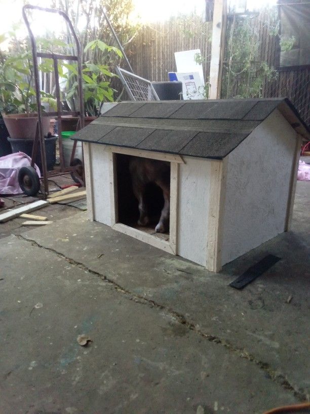 DOG HOUSE