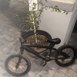 Jestson Kids 16 Inch Aura Bike