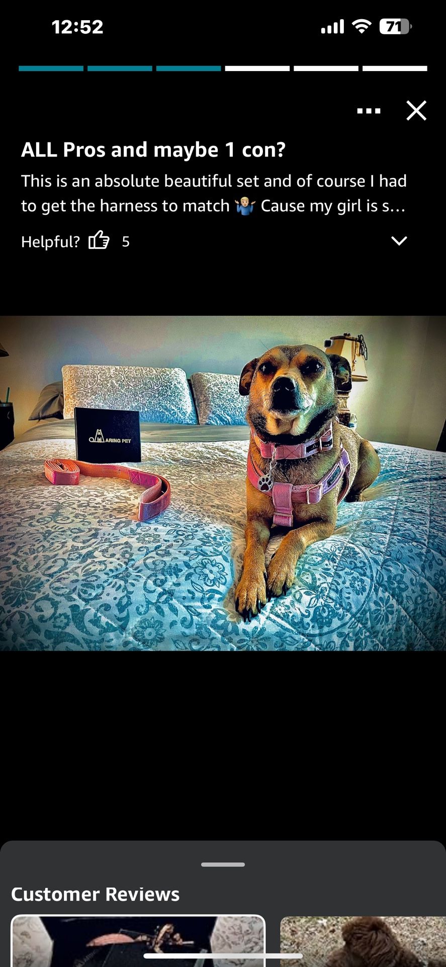 ARING PET Velvet Dog Collar and Leash Set, Soft Dog Collar and Leash, Adjustable Collars for Dogs