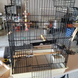 Bird Cage And Play Area.