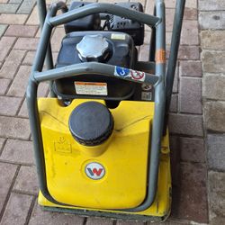 WP 1550 Wacker Neuson Temper With Honda Motor Ready To Make Money Please No Low Ball $1500