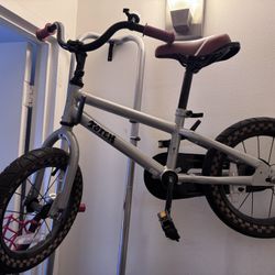 Bicycle 14 Inch