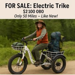 Electric Bike ( Everything Bike)