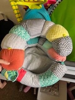 Young Baby Sit Up Seat