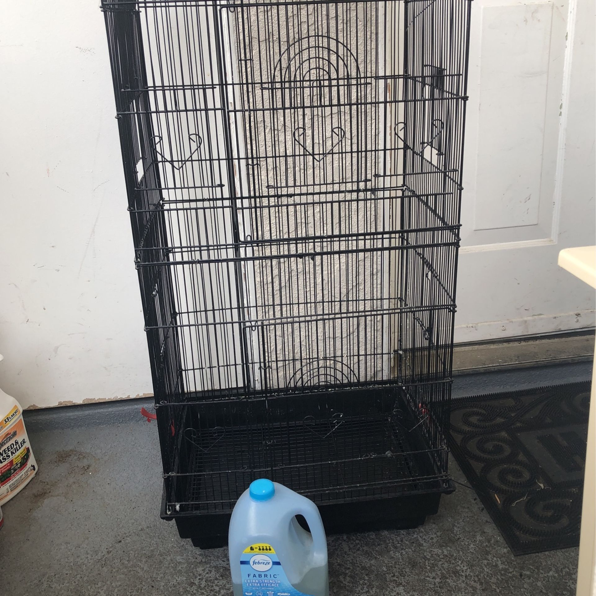 Birds Cage