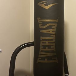 Everlast Punching Bad With Speed Bag
