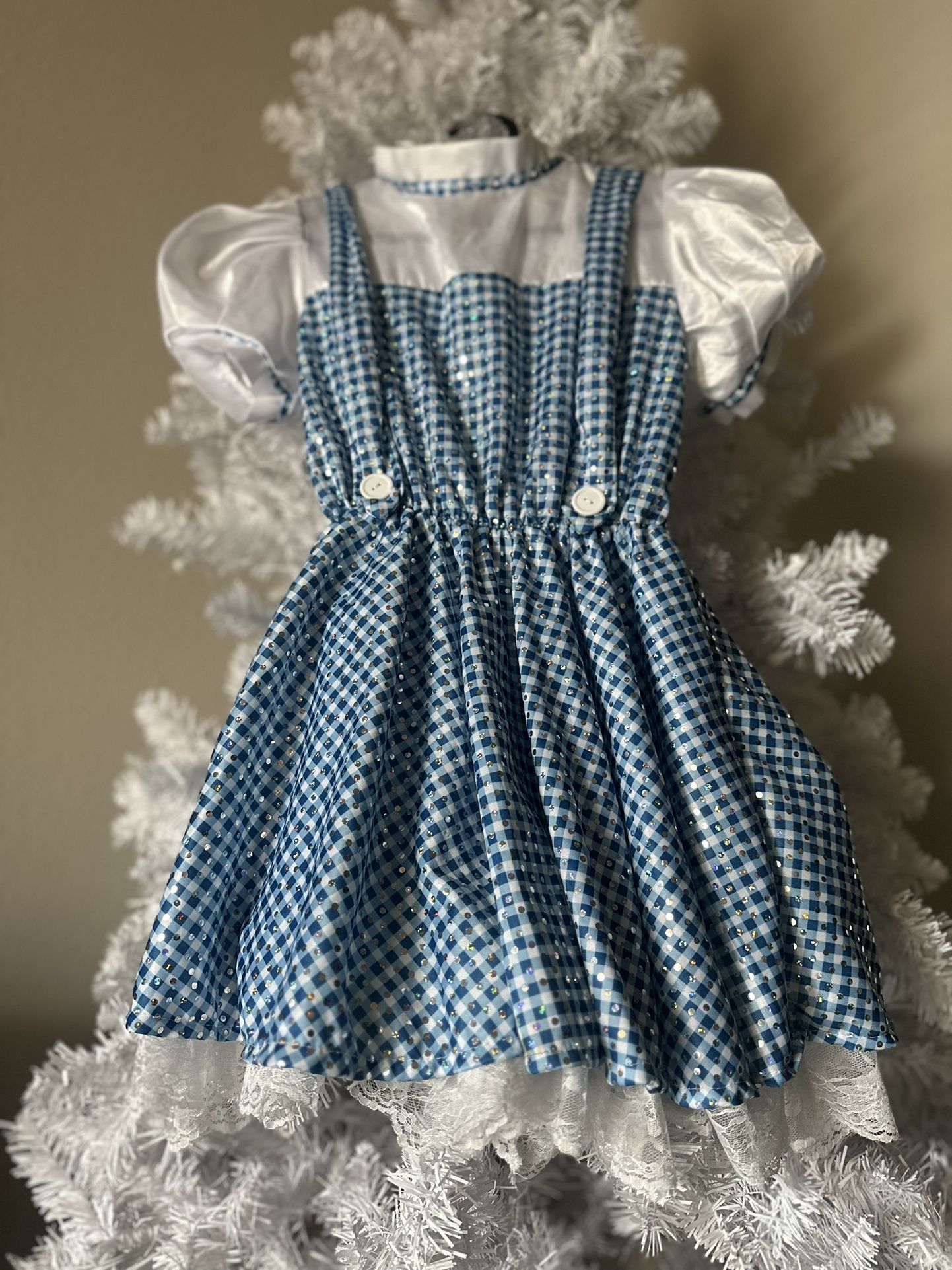 Dorthy Halloween Costume Size S-M