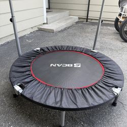 Adult Trampoline