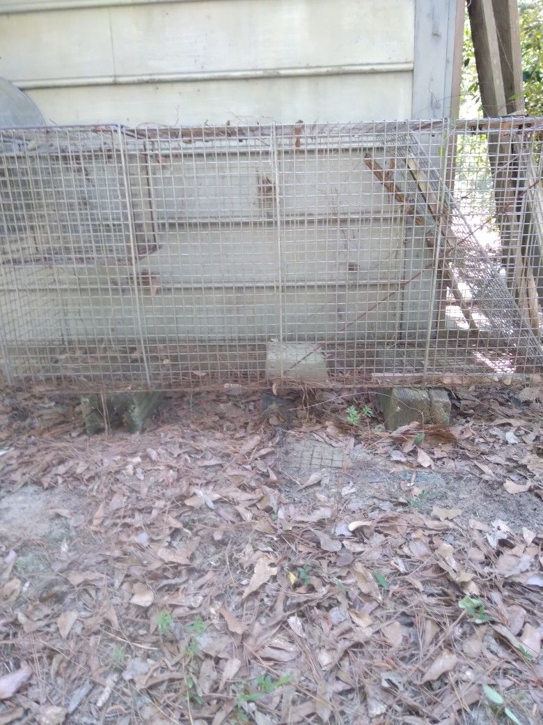 Live Bait Coyote Trap W/ Removable Bait Cage