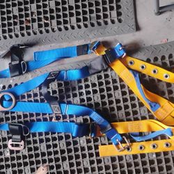 Werner Basewear Harness