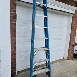 8 FT Ladder 