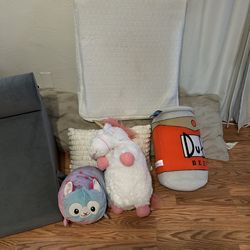 FREE Pillows and Sit up back rest