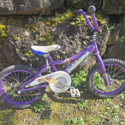 Performance Kids Bike 16