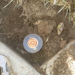 Sprinklers For Grass