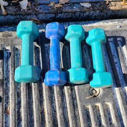 4 pound exercise weights