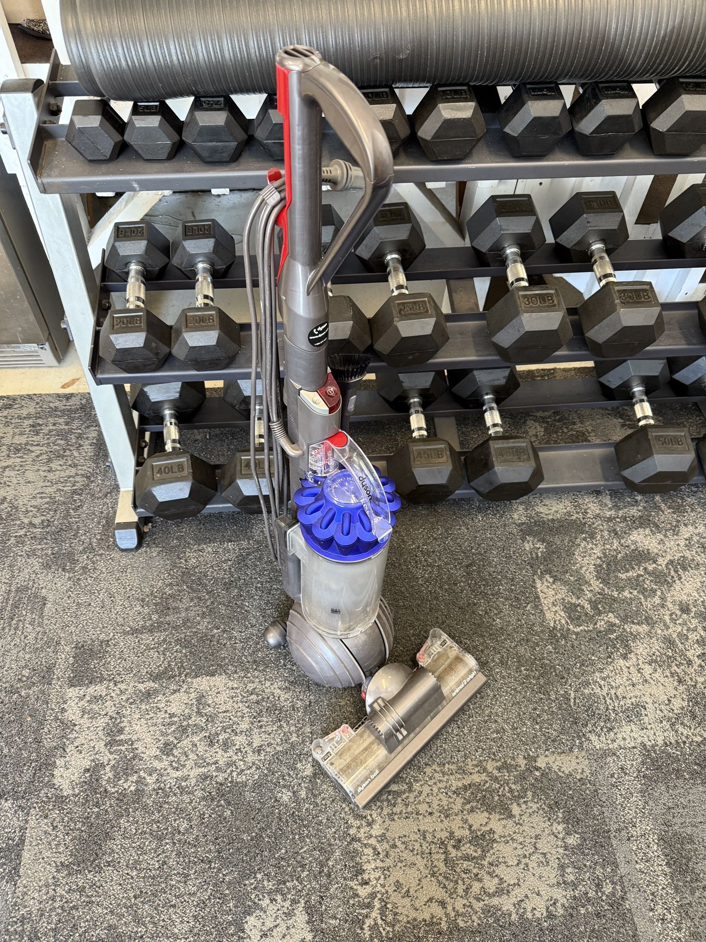 Dyson Animal 2 Upright Vacuum