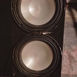 Ten Inch Subs 