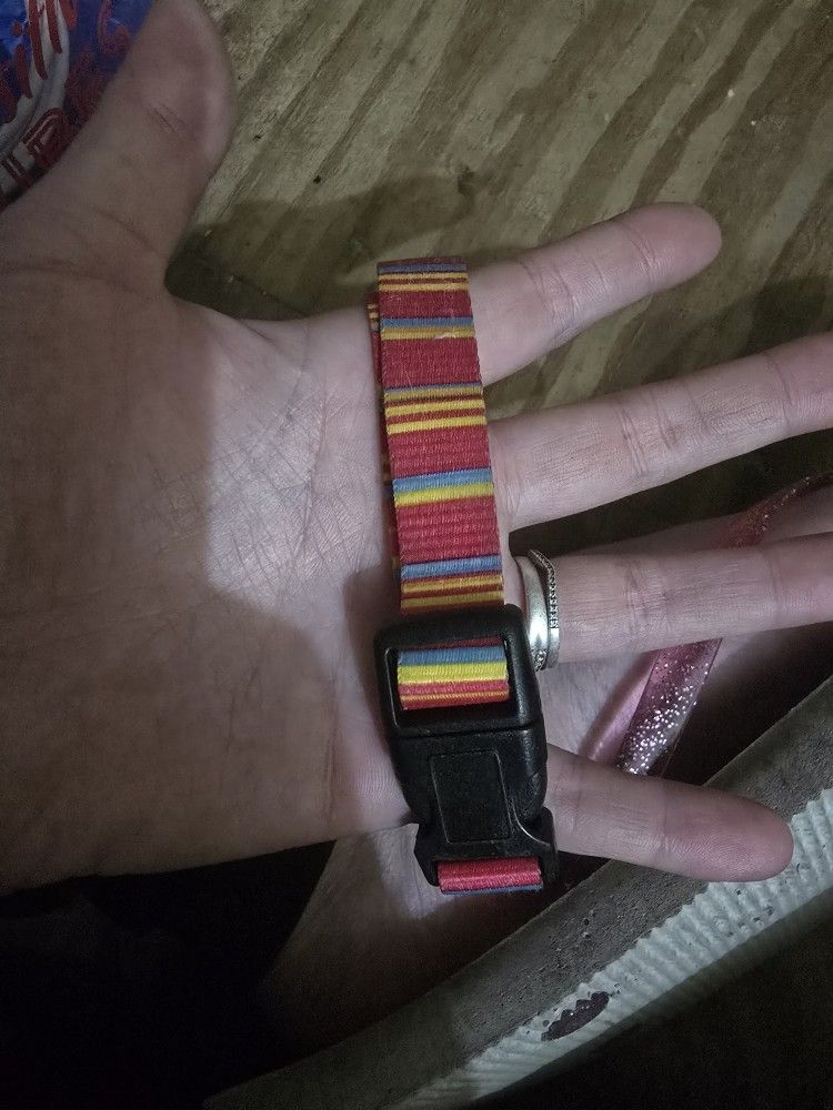 Dog Collar