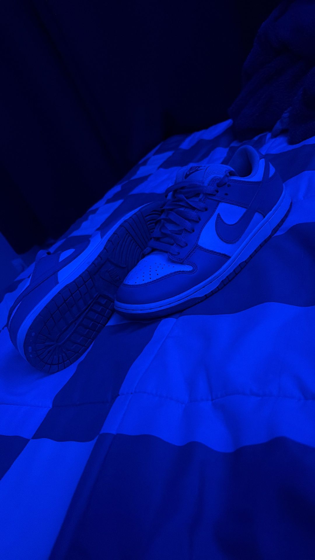 Blue Nike Dunks