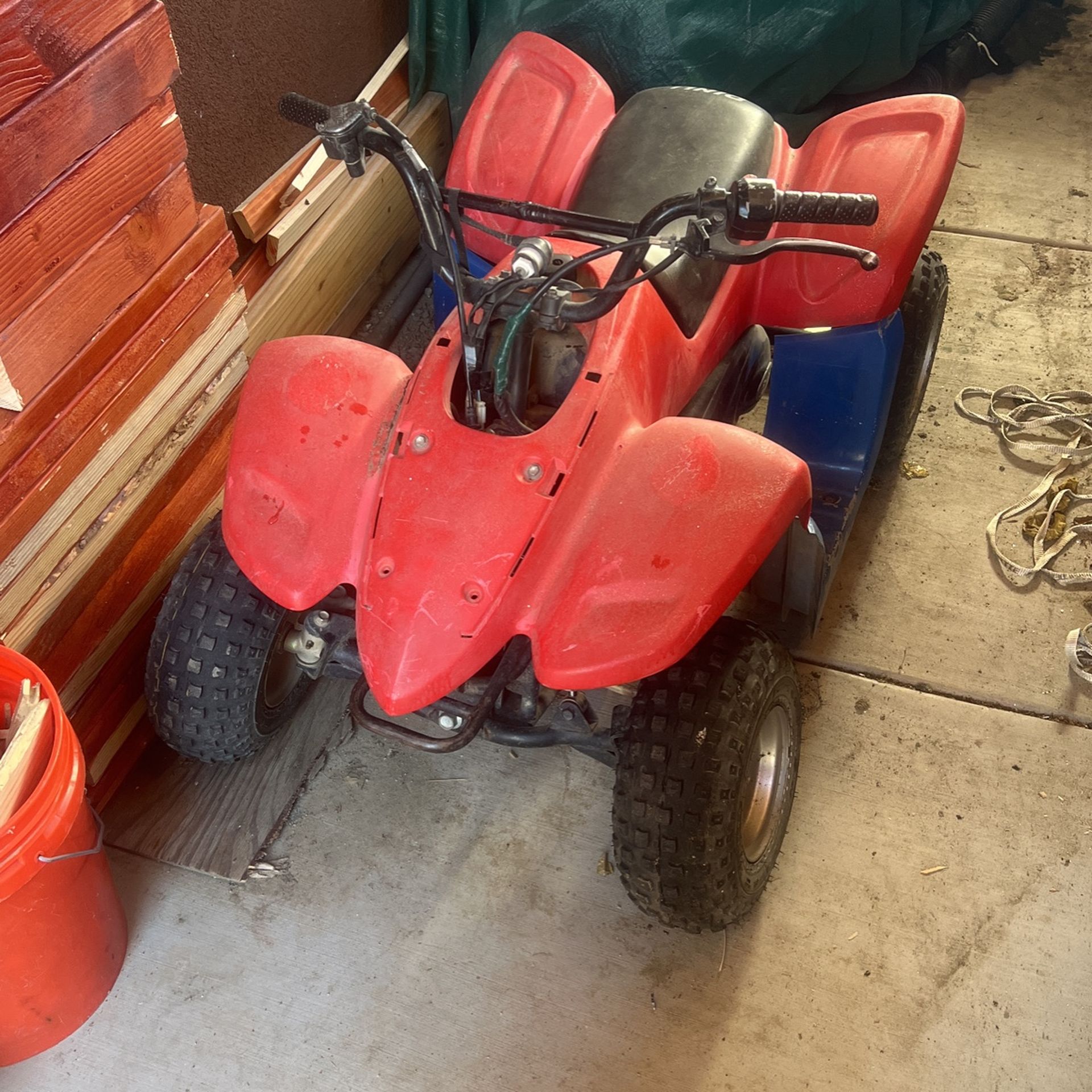 50cc Dinli Quad