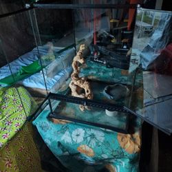 My Son Had A Snake In It 