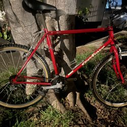 Trek Gary Fisher Wahoo Mountain Bike