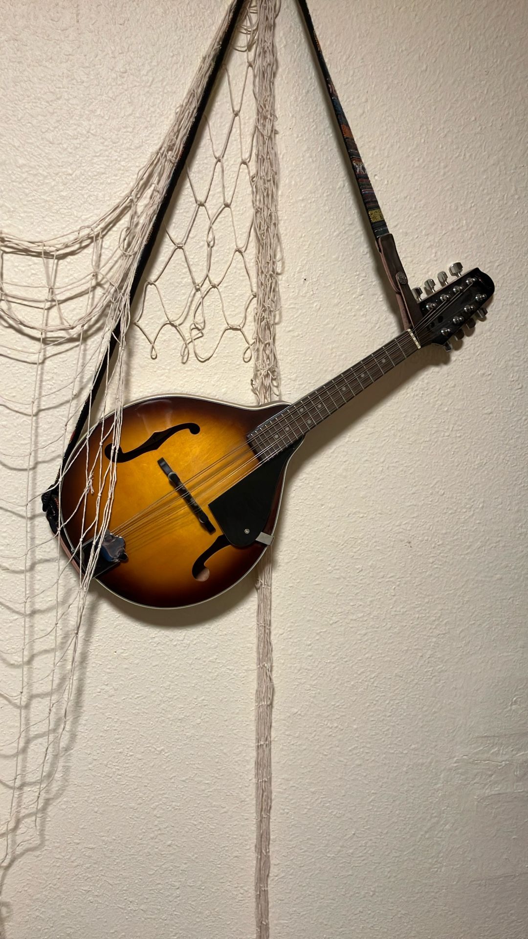 Savannah Sunburst Mandolin - Mint