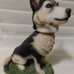 Small Husky Dog Vibrating