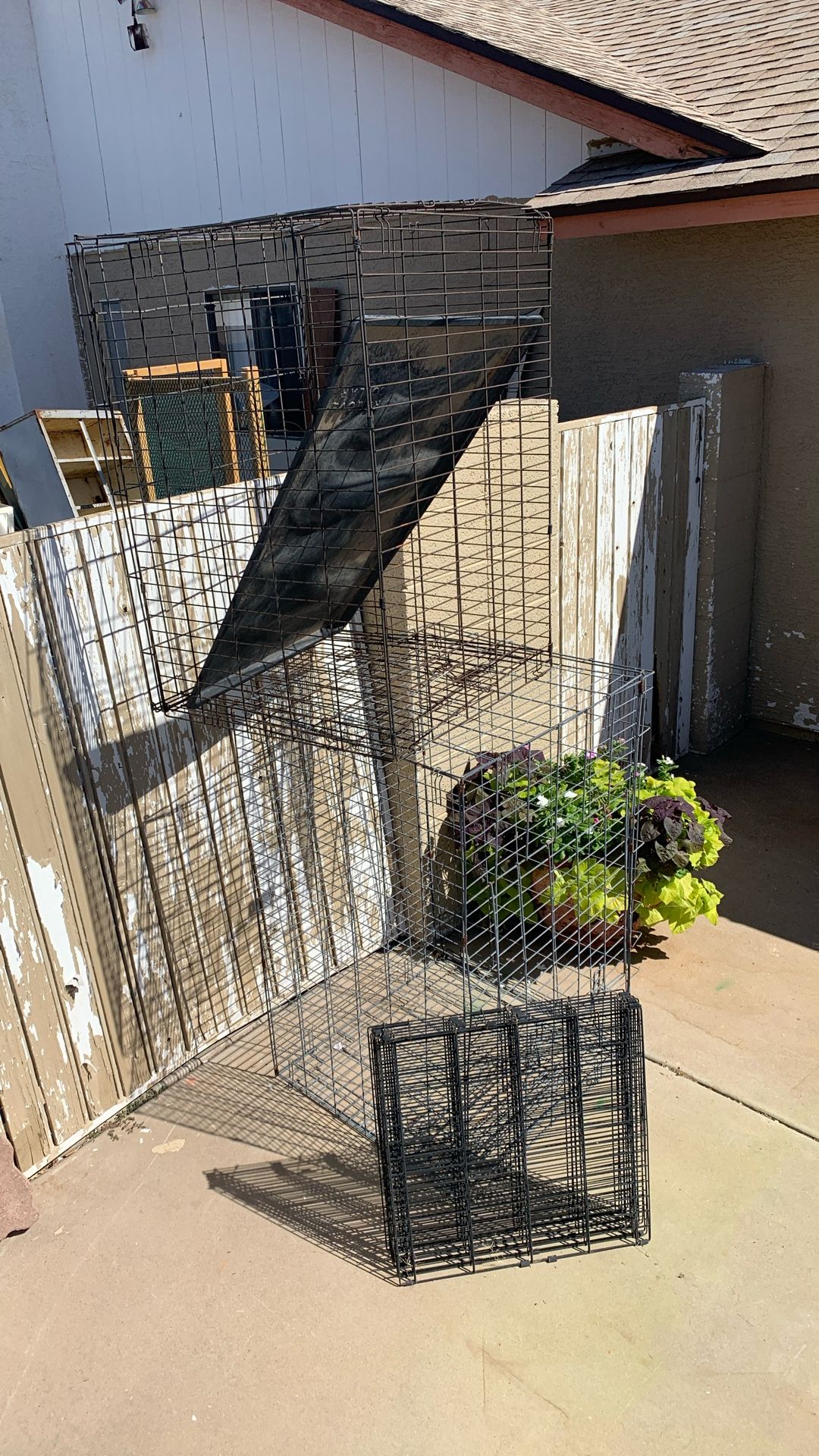 Three dog Cage