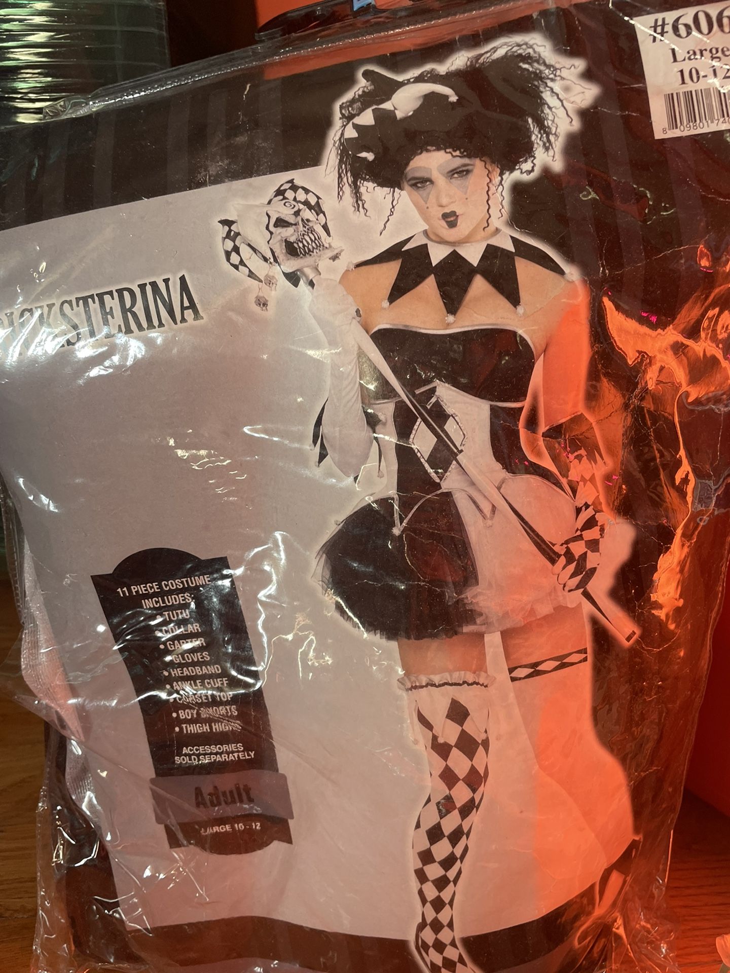 Halloween Costume