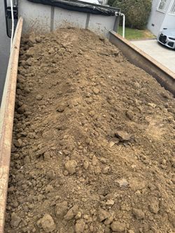 Freak Clean Dirt With Local Delivery