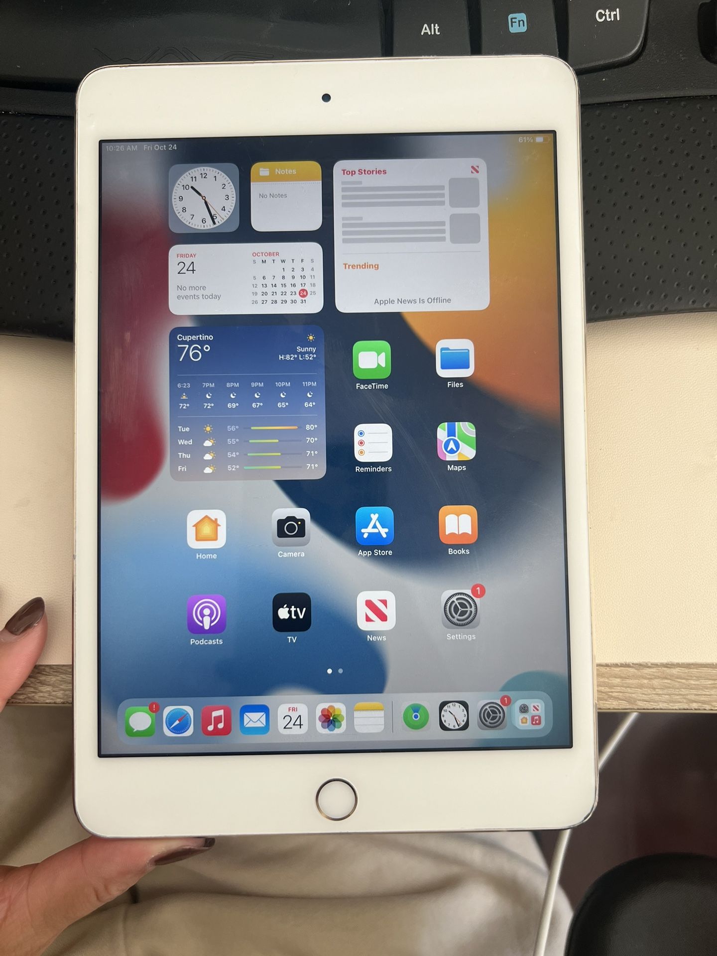 ipad mini 4