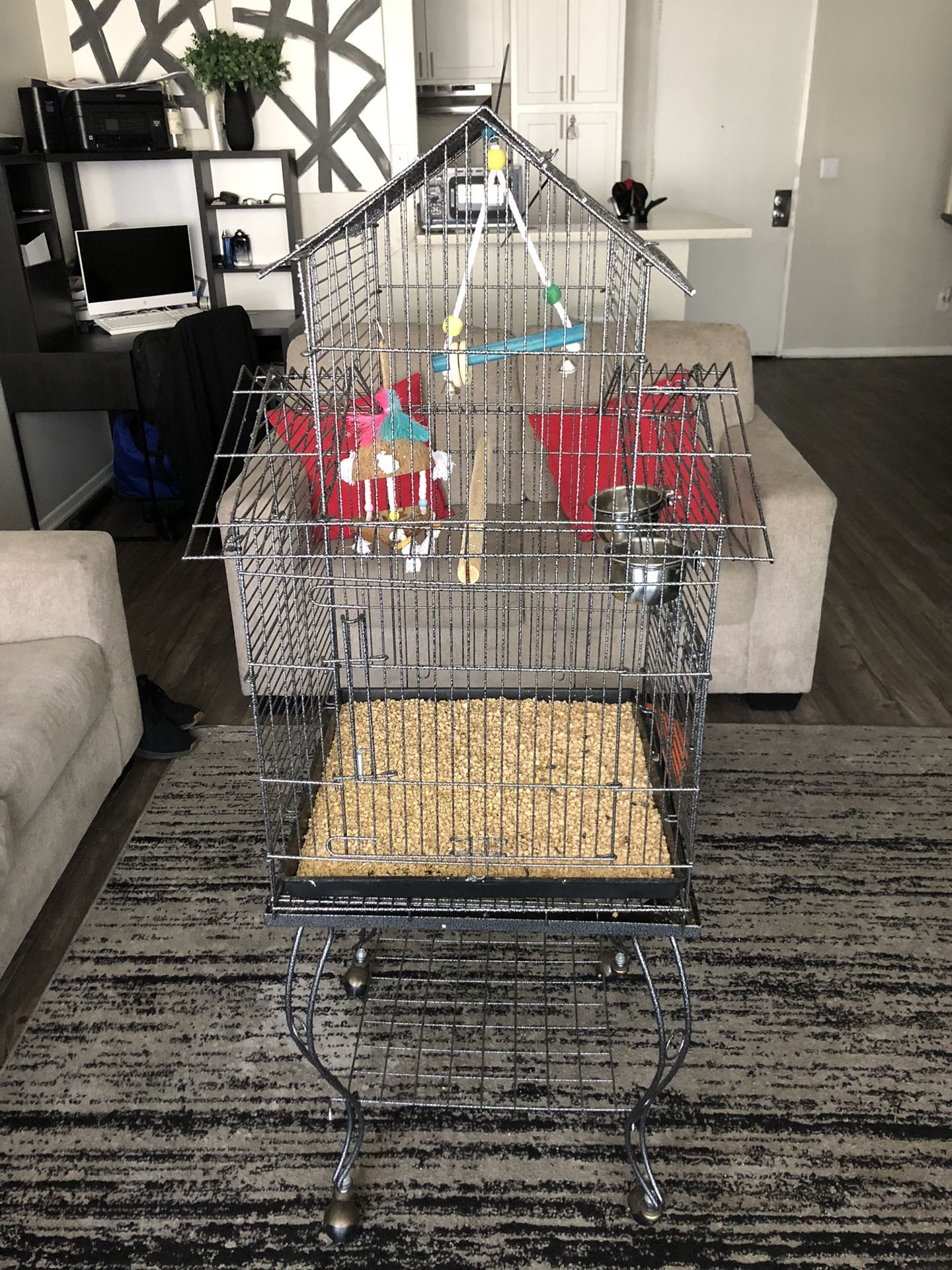 Bird Cage 
