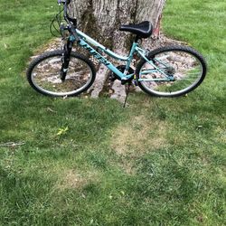 26” Mountain Bike 