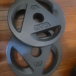 25lbs Weights