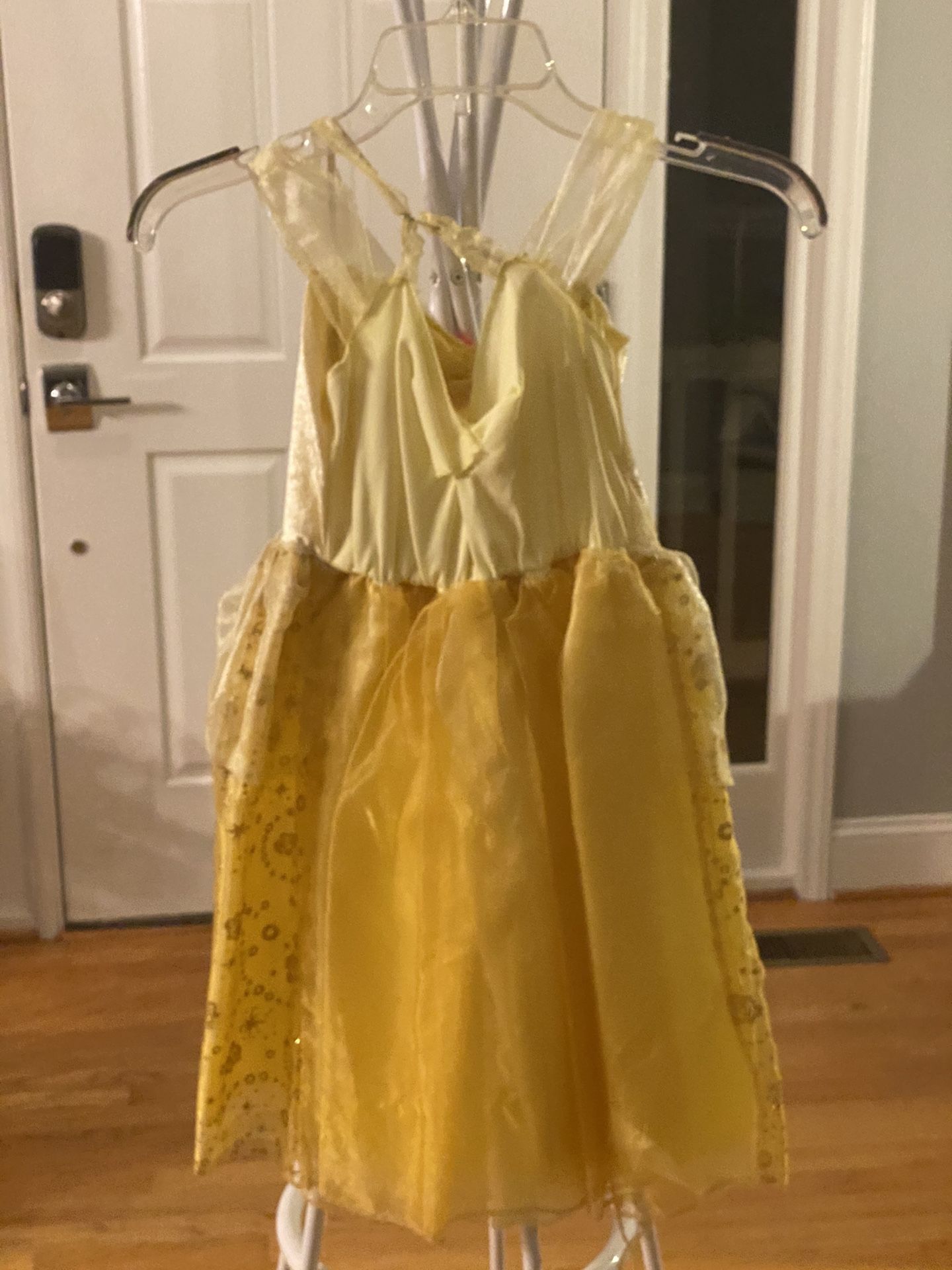 Disney Princess Costume