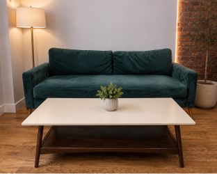 Couch and coffee table