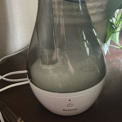 Humidifier For Plants