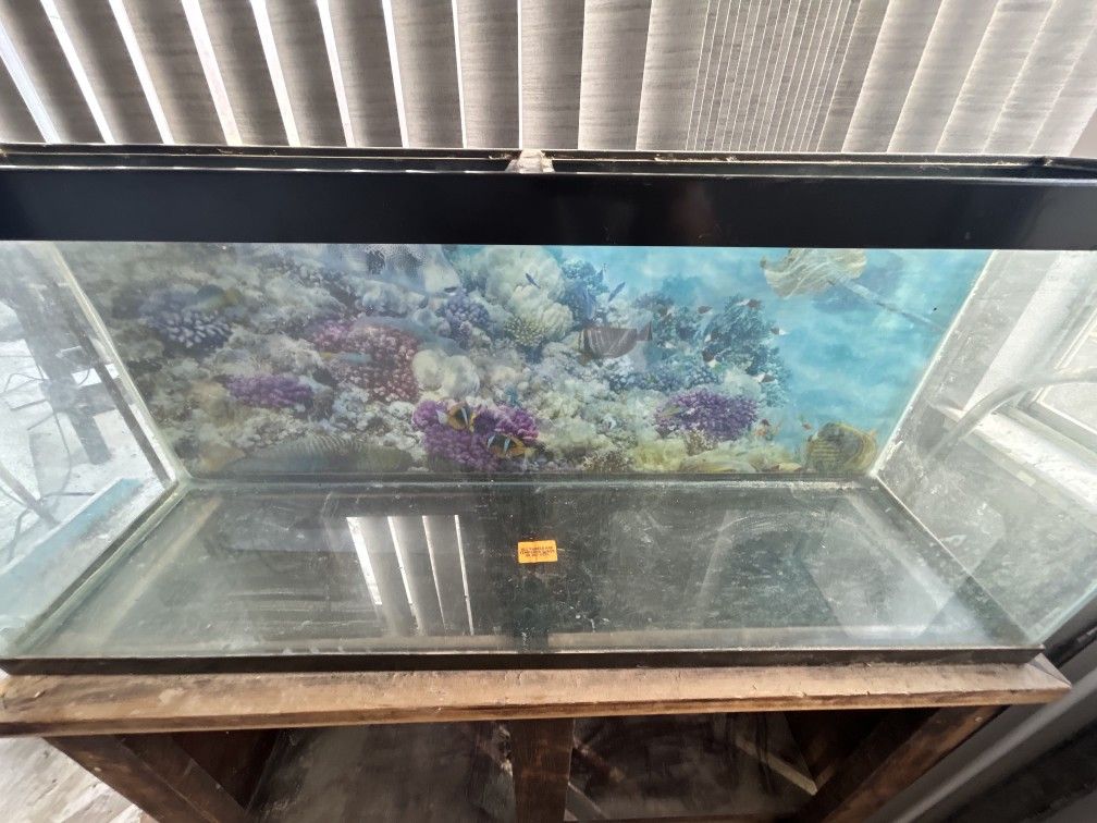 Fish Tank 55 Gal And Stand. No Extra Parts. Pickup Only
