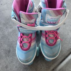 Adjustable Skates 