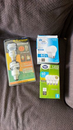 Bulbs on sale