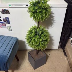 Faux Plant 