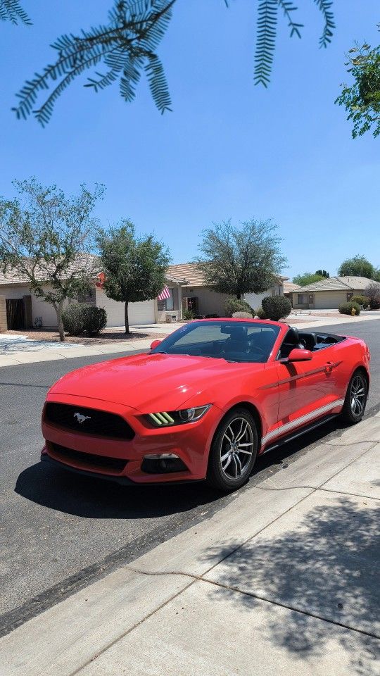 Mustang 2017 V6 Premium