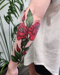 Tattoo Equipment