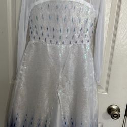 Disney Elsa Dress