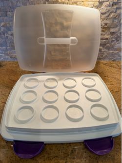 Like New Wilton Brand Cupcake and Cake Storage Container to bring to parties