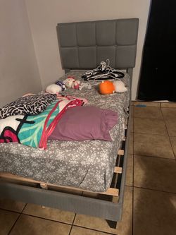 Twin xl bed