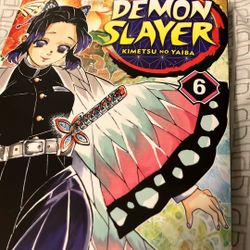 Demon Slayer Vol 6