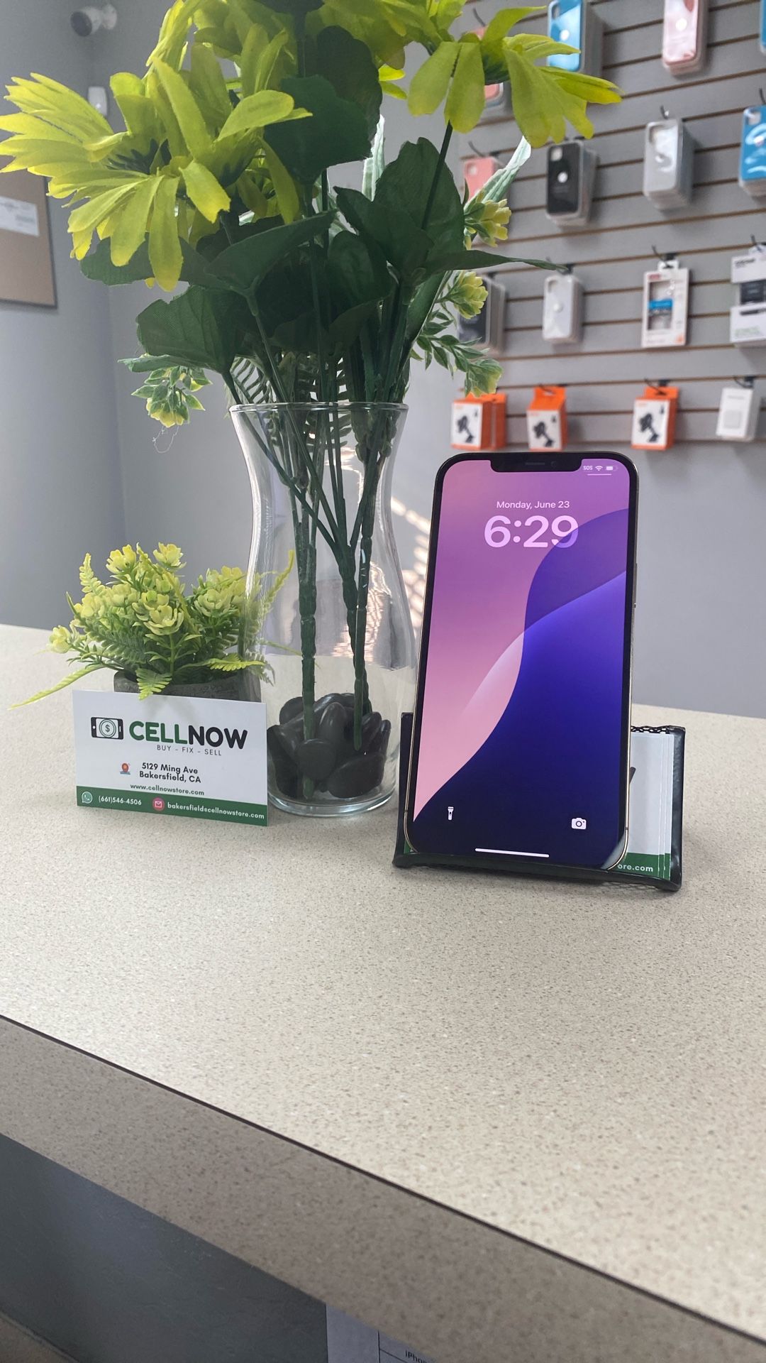 12 Pro Max Pro 512gb Unlocked