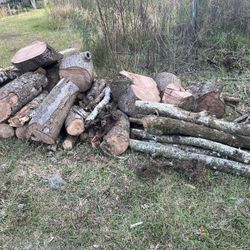 Firewood New Port Richey Back Yo Pile Of Dried Oak $20 All Or $1 Any Size Pc 